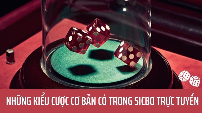 Kinh nghiệm chơi SICBO Top88 được các cao thủ chia sẻ